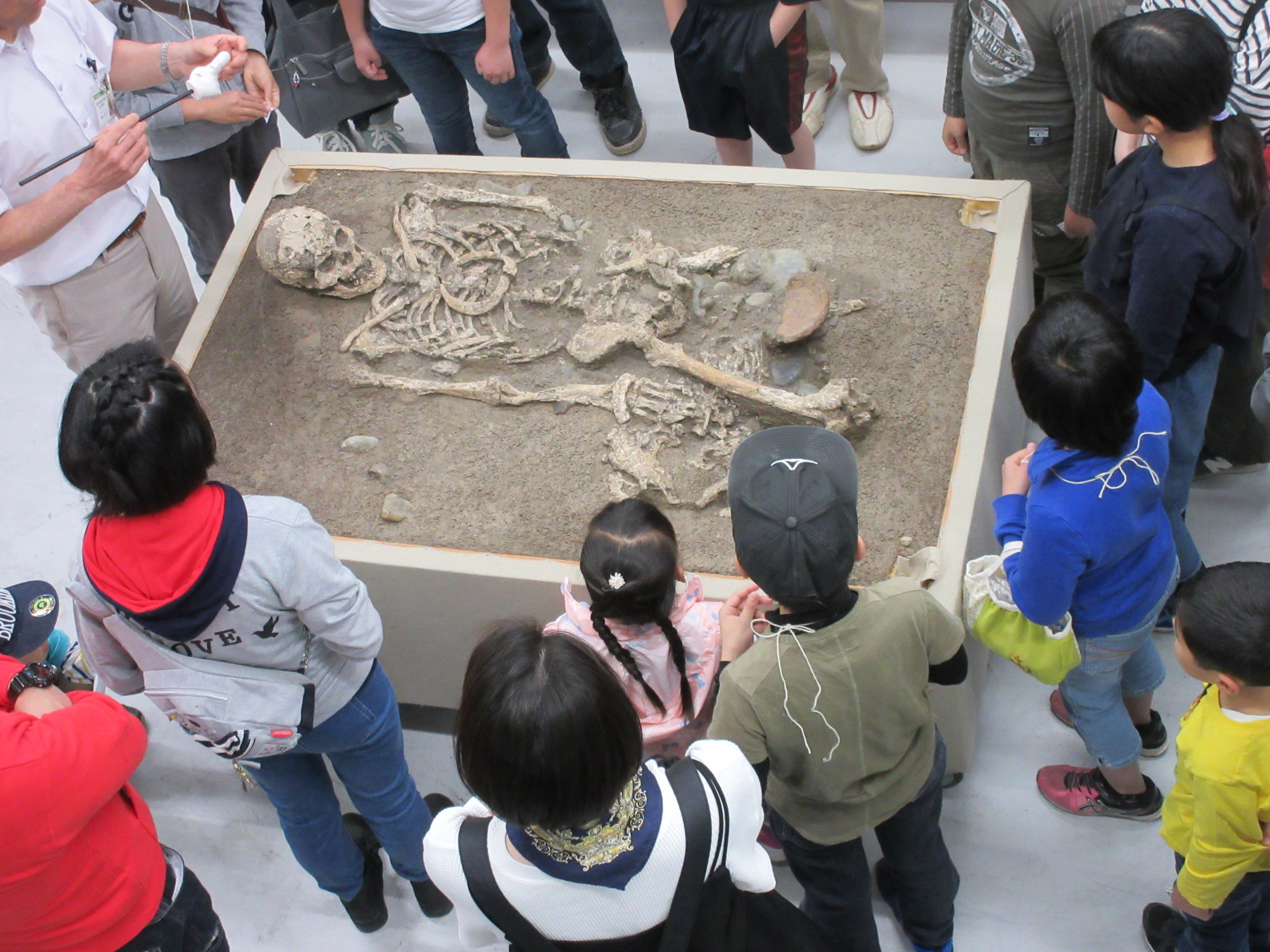 バックヤードで解説を聞く子供たちの様子